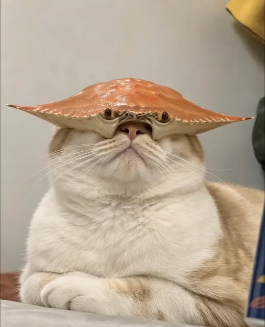 696404820_1421089476728950_138468927608314394_n.jpg