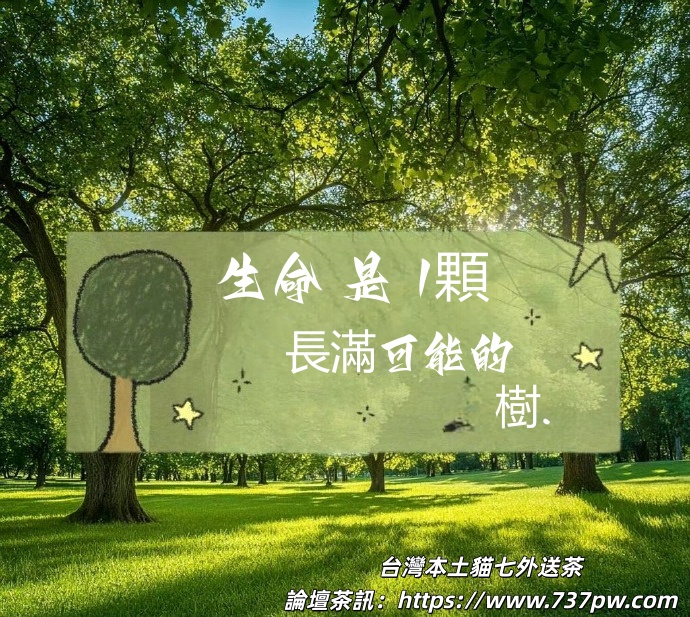 006faMndly1icj3l6xn6tj30sg0pgal7_副本.jpg