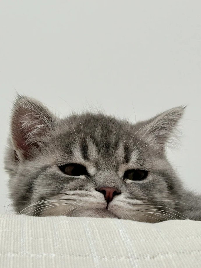 007Y1rpbgy1iehtmrp1dvj30u0140jw8.jpg