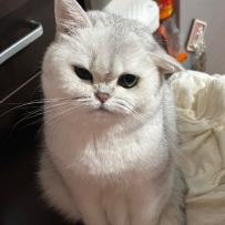 網友：回到家 發現我家孩子這樣了