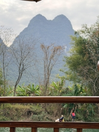 發現一座 貓貓山