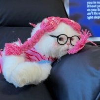 #可愛頭像 #貓頭 #貓咪 #貓貓頭像