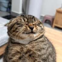 哈基米：挨打之前的表情 be like