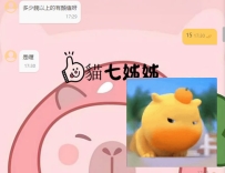 貓七辦事你放心 熟客的偏好、習慣、風格  貓七都記得牢牢的